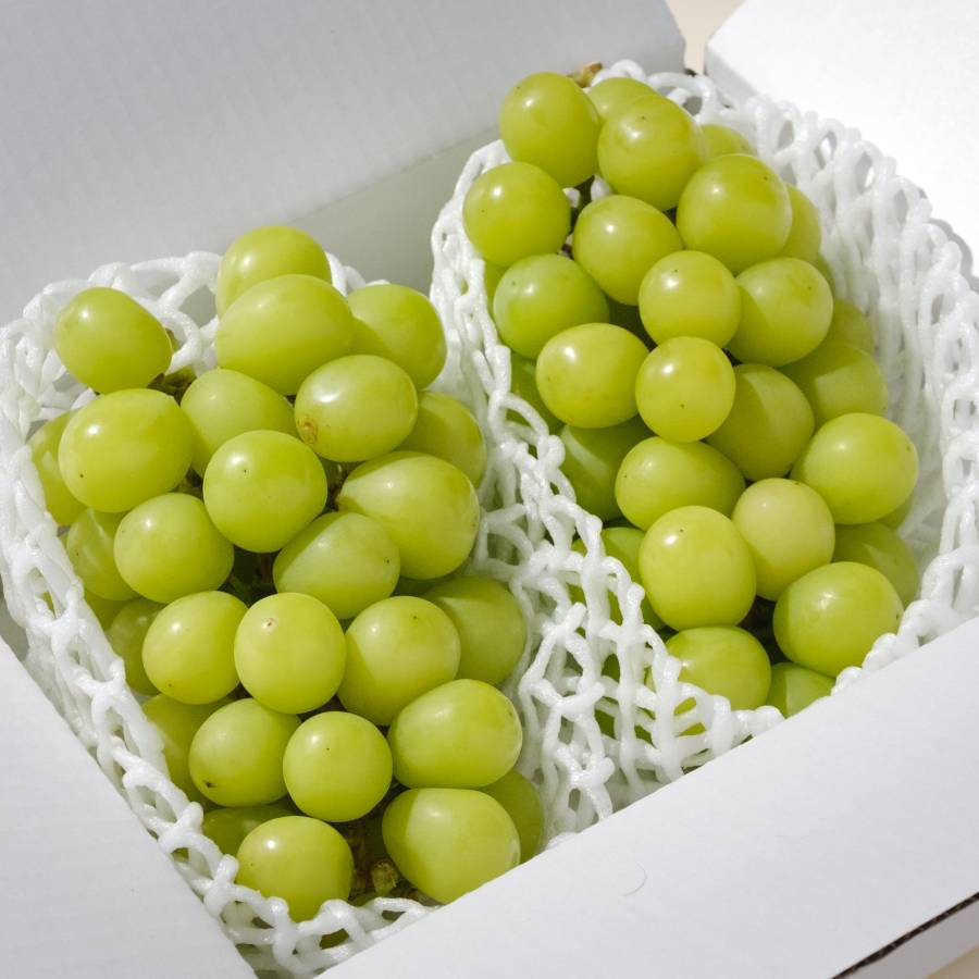 ＜Bonchi＞シャインマスカット2房入(約1.1kg)