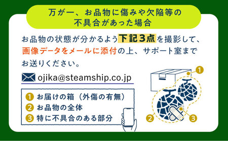【先行予約】 タカミメロン 約5kg(3〜5玉)【2025年6月中旬-7月初旬順次発送】 メロン メロン メロン メロン メロン 小値賀園芸部会[DAT001] メロン メロン メロン
