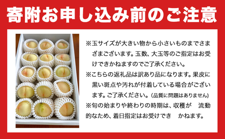 訳あり 清水白桃 約4kg 桃