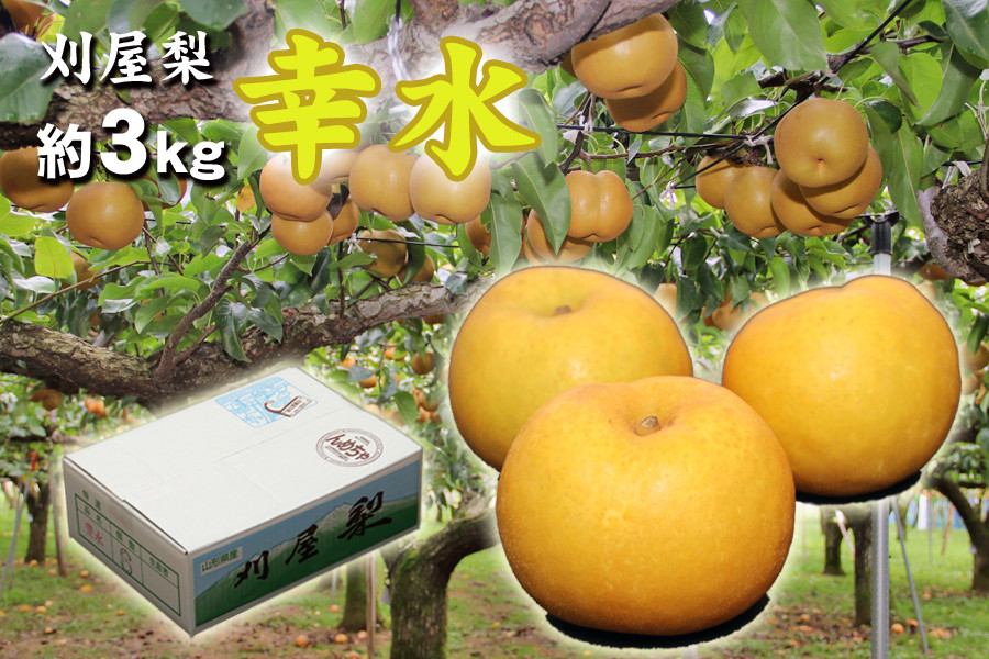 
                  酒田産刈屋梨　和梨【幸水】約3kg（6～8玉入り） SA3050
                