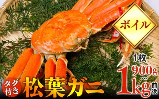 【ボイル】タグ付き松葉ガニ　特大1枚（900g～1kg前後）【着日指定不可】※2025年11月上旬～2026年3月下旬頃に順次発送予定《かに カニ 蟹》|蟹 かに 松葉ガニ 松葉蟹 鳥取県産 北栄町 おすすめ 人気