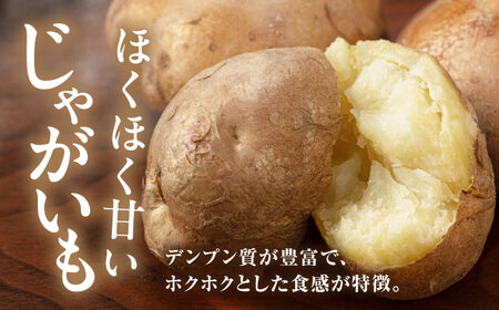 男爵芋・玉ねぎセット 8kg ( 男爵芋 5?s 玉ねぎ 3kg ) 《喜茂別町》【Aコープようてい】 じゃがいも ジャガイモ 玉ねぎ 男爵芋 季節の野菜 産地直送[AJAK034]