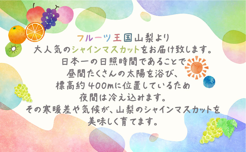 シャインマスカット1.3kg　（粒）