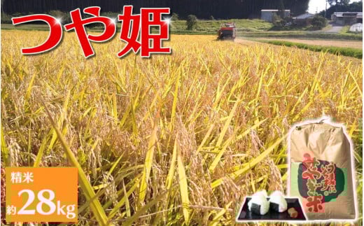 【環境保全米】アグリとみたの 令和7年産 つや姫 精米 約28㎏  11月中旬以降順次発送/ 米 お米 こめ 白米 ご飯 ライス つやひめ 産地直送 数量限定
