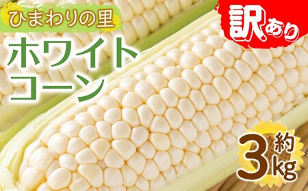 ＜先行予約！2027年6月上旬以降順次発送予定＞＜訳あり＞ホワイトコーン(約3kg) 香川県 国産 とうもろこし トウモロコシ 新鮮 冷蔵便 【man109-A】【Aglio nero】