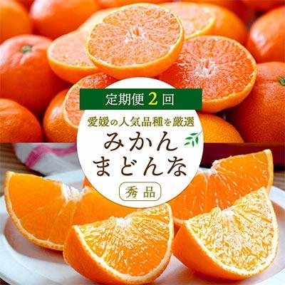 ふるさと納税 八幡浜市 【発送月固定定期便】みかんまどんな食べ比ベ(3kg&amp;2.5kg)【F25-198】全2回