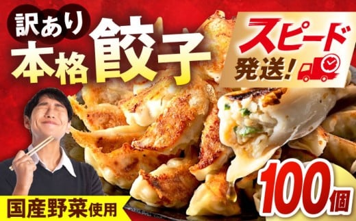 訳あり 本格餃子 100個セット 訳あり 本格 餃子  ぎょうざ 国産 ギョーザ 野菜 わけあり ワケアリ 冷凍餃子 ぎょうざ ジューシー 中華 セット 詰め合わせ 国産野菜 大容量 たっぷり 惣菜 横須賀 【株式会社オウモリ食品】 [AKHQ002]