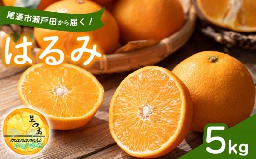 尾道市瀬戸田から届く！ はるみ　5キロ