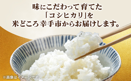 埼玉県幸手市産神扇機械化センターさんのコシヒカリ5kg×2 - 10kg 米 精米 食味 こだわり