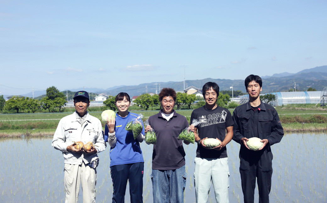 【定期便12回】旬の朝採れ土佐野菜詰め合わせ（10～13品目）