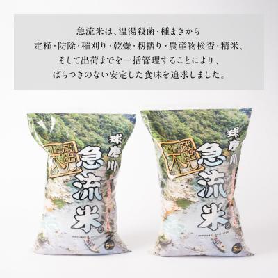 ふるさと納税 八代市 《令和7年産》熊本県八代市産 球磨川急流米 ヒノヒカリ 10kg_131-4800-D |  | 03