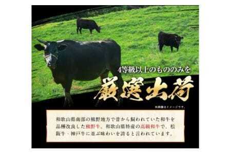 熊野牛 特選モモスライス400g 4等級以上 株式会社松源《30日以内に出荷予定(土日祝除く)》和歌山県 岩出市
