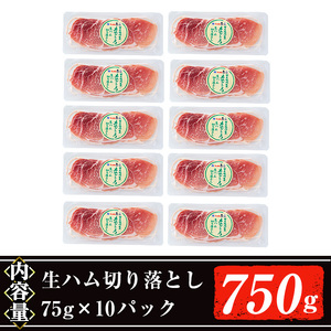 【年末限定企画！】＜2025年5月中に発送予定＞国産豚生ハム切り落とし75g×10P＋1P(計825g) 生ハム おつまみ 小分け 【ナンチク】A302-05-v02