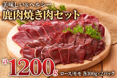 ジビエ 鹿肉 ロース＆モモ 計1.2㎏ 焼肉 ジビエ