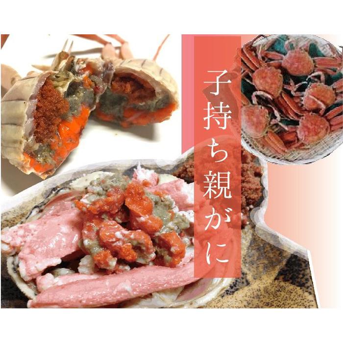 【ふるさと納税】特選とっとりセコガ二 (親ガニ)10枚セット【山根商店】 | 鳥取　かに