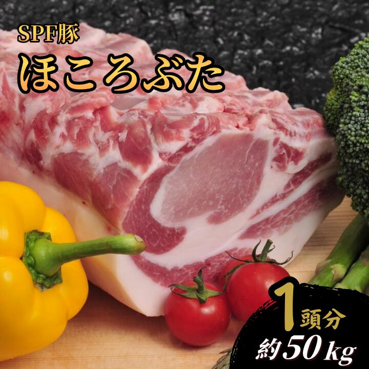 【ふるさと納税】1頭分お届け　千葉県産 下山農場 SPF豚 「 ほころぶた 」 ／ SPF豚 豚肉 ほころぶた 1頭分 バラ ロース 肩ロース ヒレ うで もも豚肉