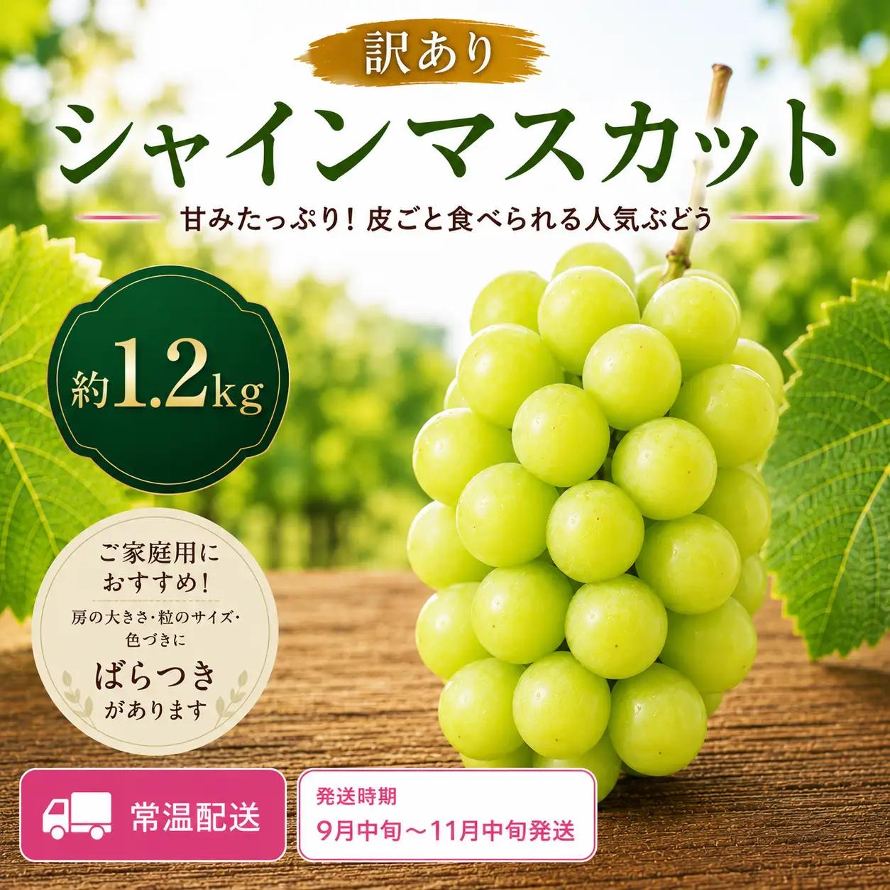 ＜訳あり＞ 家庭用シャインマスカット 約1.2kg｜味はそのまま・ご家庭用におすすめ（常温配送）《9月中旬-11月中旬出荷予定》期間限定 フルーツ 果物 ぶどう ブドウ 神石高原町 広島県