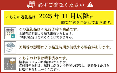 【先行予約】【2025年11月より順次発送】《令和７年産 》福岡県産 ブランド 米「 元気つくし 」 5kg×2個　計10kg