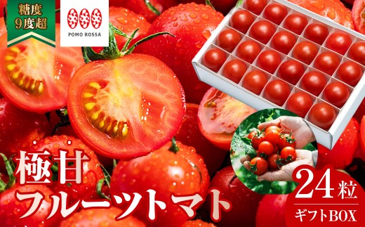 フルーツトマト ポモ・ロッサ  24粒 ギフトボックス | トマト 高糖度 糖度9度以上 甘い 濃厚 ミニトマト プチトマト とまと 野菜 完熟 糖度 甘い フルーツ フルーツ感覚 高級ミニトマト ブランド 贈り物 プレゼント ギフト グルメ 産地直送 農家直送 完熟トマト 高級 高級野菜 贅沢 お取り寄せ 贈答 贈答用 化粧箱入り ポモロッサ 国産 人気 お中元 お歳暮 手土産 埼玉県 桶川市