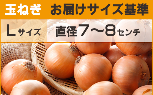 【先行予約】玉ねぎ Lサイズ 20kg 大空町産（2026年10月上旬より発送） OSR009