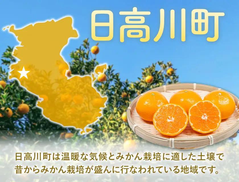 【先行予約】宮川 早生 みかん 約 10kg(S～Mサイズ混合) 