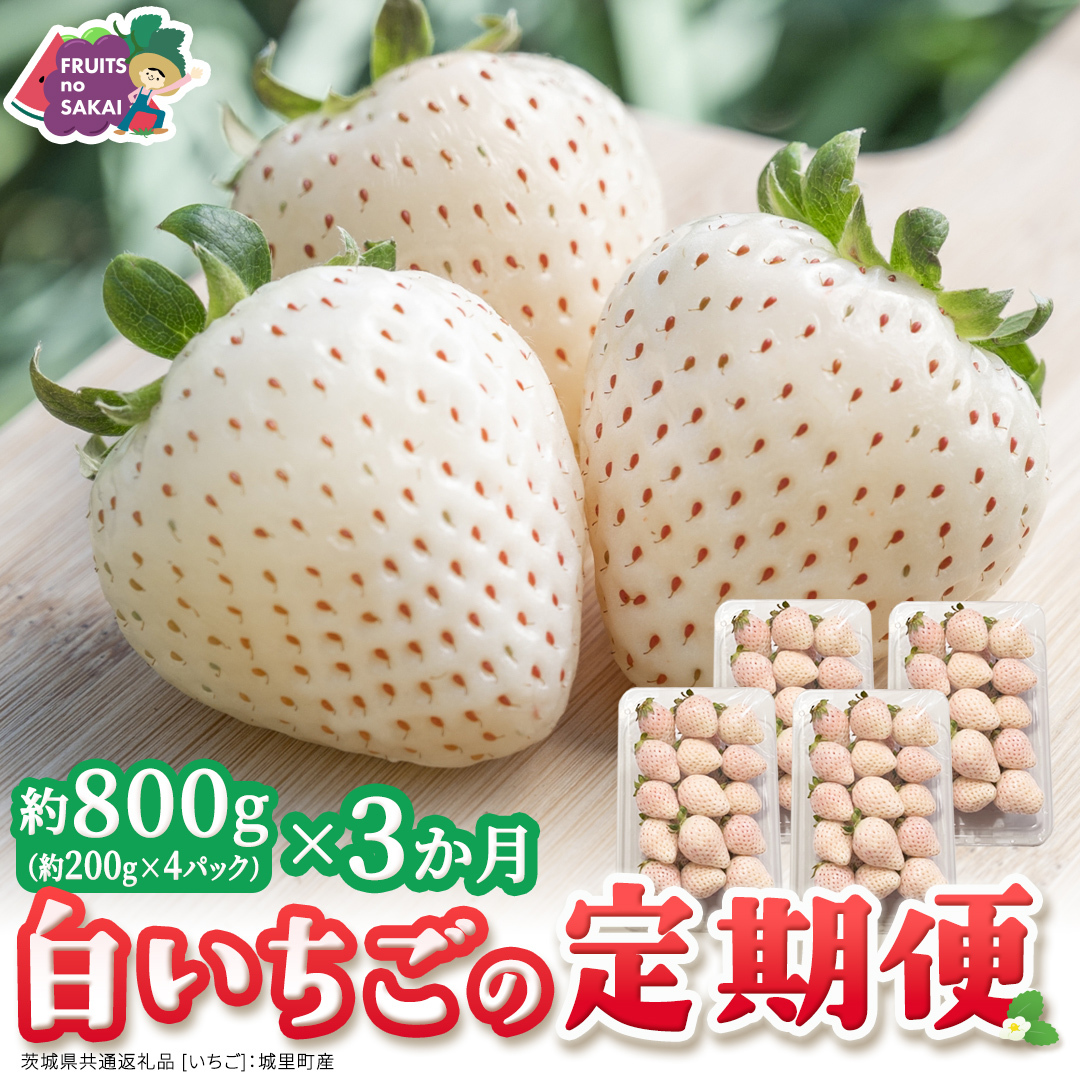 【定期便】白いちご 約200g×4パック 3ヶ月連続お届け便【2027年1月から発送開始】（茨城県共通返礼品 [いちご]：城里町産） 茨城県 県産 人気 厳選 果物 くだもの 旬 旬の果物 旬のフルー