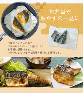 骨なし 無添加 塩さば 切身 60g × 20枚 (4枚入り5セット) 【nss501B】