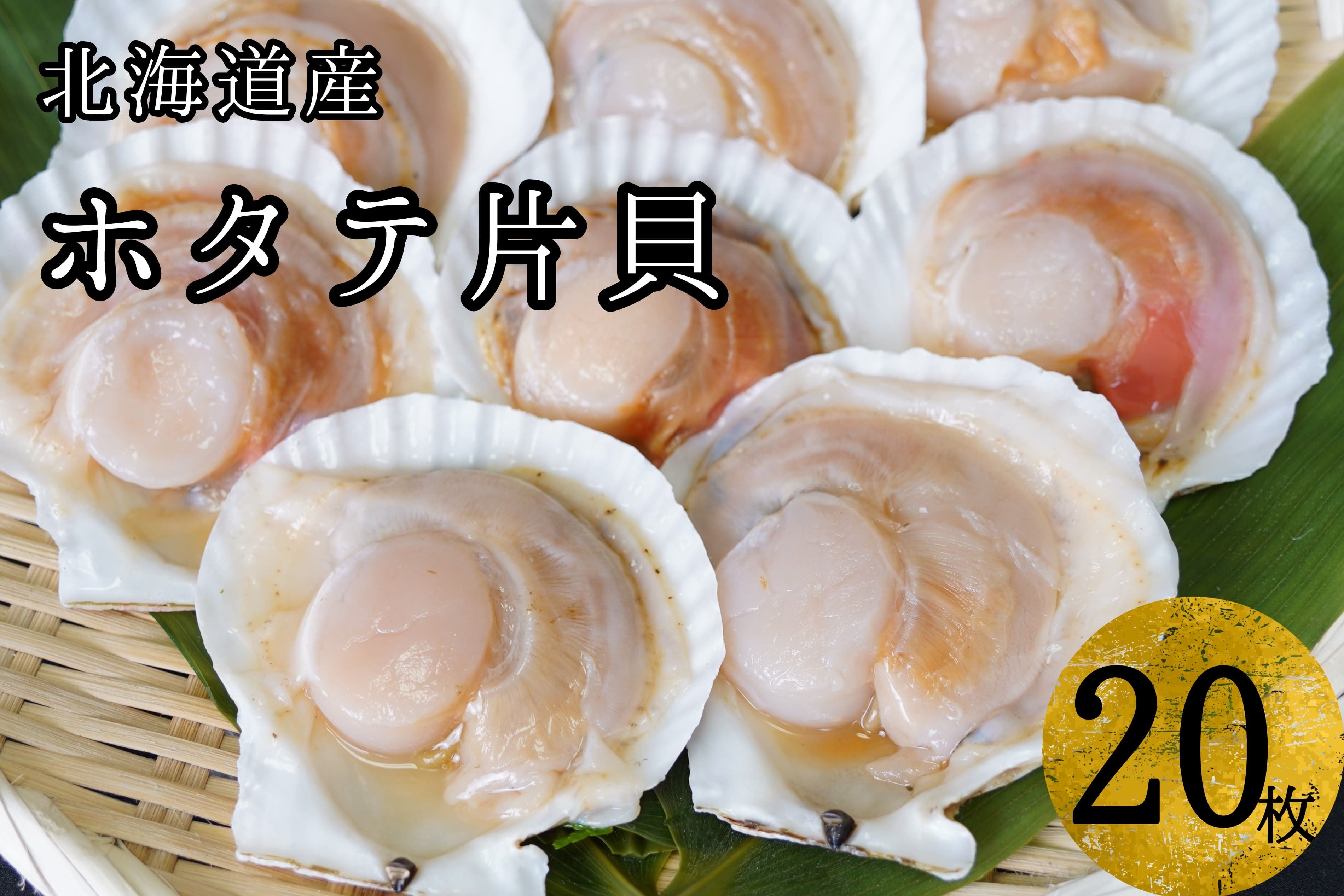 
            【海鮮BBQにおすすめ】北海道産ほたて片貝20枚　ウロ処理済み・洗浄済み殻つき　下処理済　バター焼き　ご飯　冷凍　旬　おつまみ　海鮮　せたな町　ふるさと納税
          