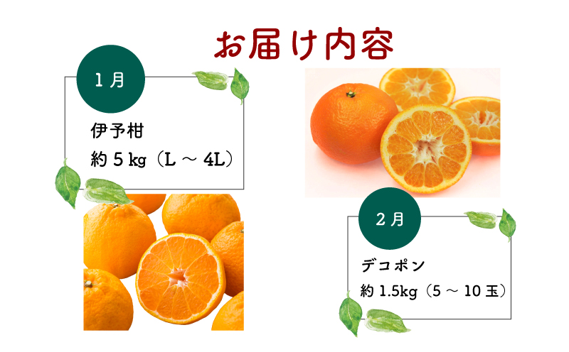 みかん定期便 6回 愛媛みかん えひめ かんきつ 定期便 愛媛県観光物産協会 みかん mikan 愛媛蜜柑 愛媛ミカン 日の丸みかん 紅まどんな 伊予柑 デコポン せとか 河内晩柑 サイズ ミックス 