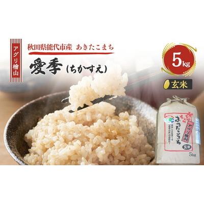ふるさと納税 能代市 令和7年産 アグリ檜山米 愛季 玄米 5kg  あきたこまち[No.5335-1661]