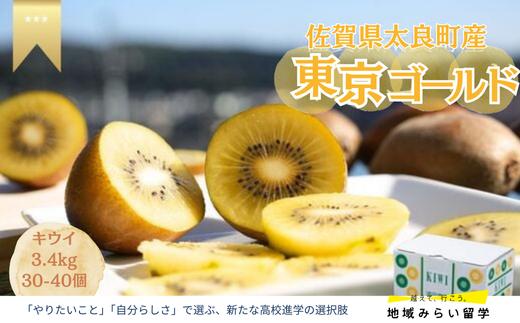 
            【佐賀県太良産】浦田農園『東京ゴールド(キウイフルーツ)』3.4kg(30〜40個)
          