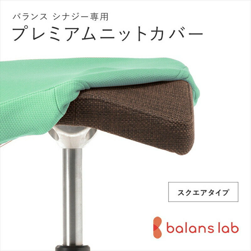 【ふるさと納税】＜カラーをお選びください＞バランスシナジー専用プレミアムニットカバー スクエアシート用 はっ水加工【 バランス シナジー カバー 大阪府 門真市 】