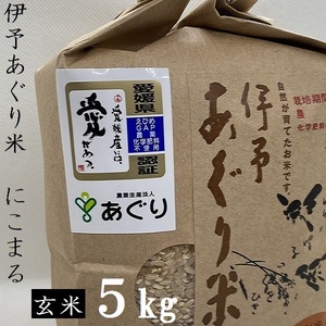 【新米】米 玄米 5kg 伊予あぐり米「にこまる」 令和6年産 米 農薬・化学肥料不使用 米 玄米 令和6年産 米 お米 こめ 農薬・化学肥料不使用 こだわりのお米 愛媛県 松前町 松前 まさき 愛媛