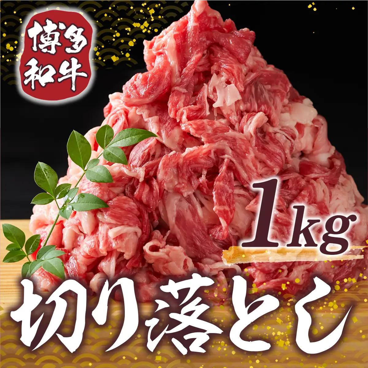 博多和牛 切り落とし 500g 2p 計 1kg [MEAT PLUS 福岡県 宇美町 um40azp010006]