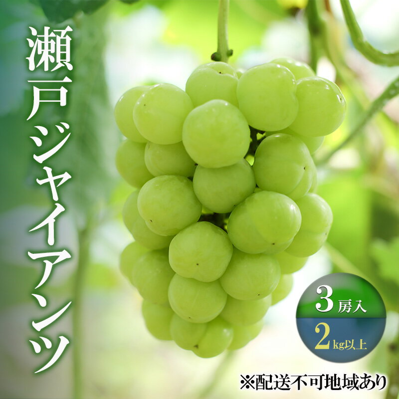 【ふるさと納税】ぶどう 【2025年 先行予約】 瀬戸ジャイアンツ 3房(合計2kg以上) ブドウ 葡萄 岡山県産 国産 フルーツ 果物 ギフト 河本農園　お届け：2026年9月上旬〜2026年9月30日