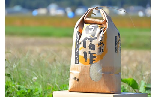 玄米 令和7年 特別栽培米 ゆうだい21 5kg [遠藤農園 山形県 高畠町 tk06ayt120008] 5キロ お米 ブランド米 ごはん ご飯 こめ