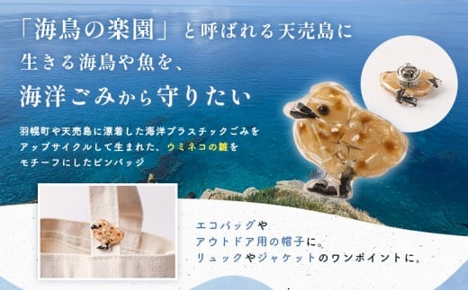 天売島の想いを込めた「ウミネコ雛ピンバッジ」
