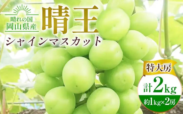 ぶどう シャインマスカット晴王【特大房】約1kg×2房 計2kg  橋田商店有限会社 シャインマスカット