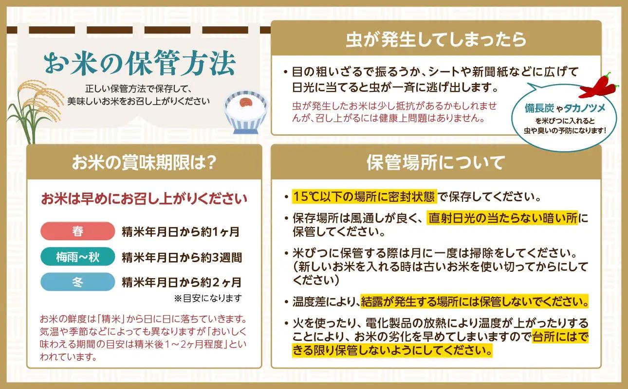 特別栽培米 雪若丸 10kg 【山形県産】【2025年度産米】 001-095