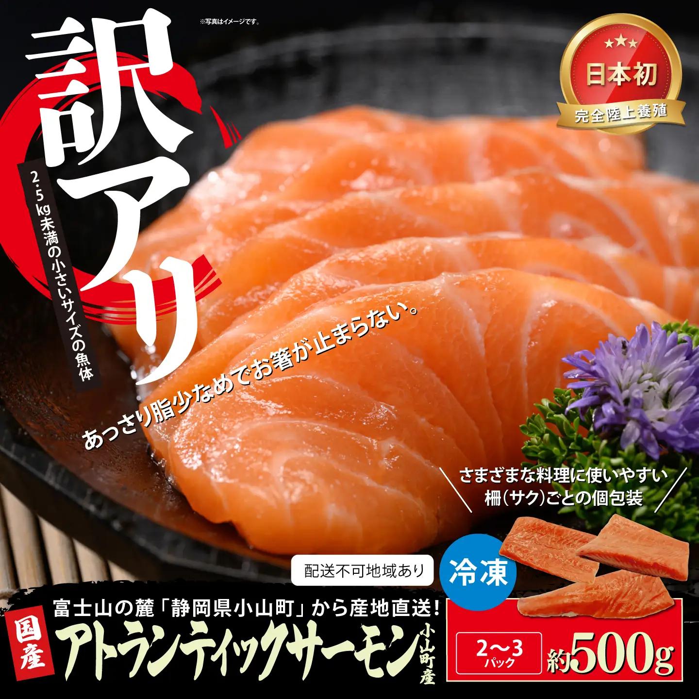 サーモン 訳あり 冷凍 2～3P 約500g 国産サーモン