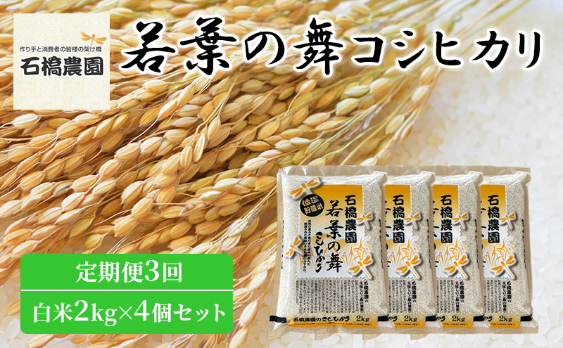 
米 若葉の舞 コシヒカリ 白米2Kg×4個セット 定期便3回 こしひかり セット 定期便 お米 白米 精米 千葉 千葉県 低温保存 [№5346-0845]
