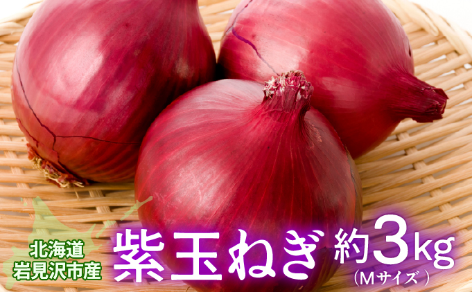 【岩見沢産】紫玉ねぎ20個【09107】[a107-005]