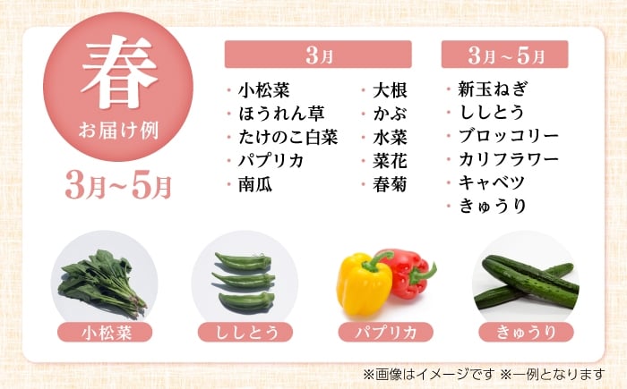 【24回定期便・月2回配送】 土佐の太陽をいっぱいに浴びた旬の野菜10〜13品目と生姜約100g