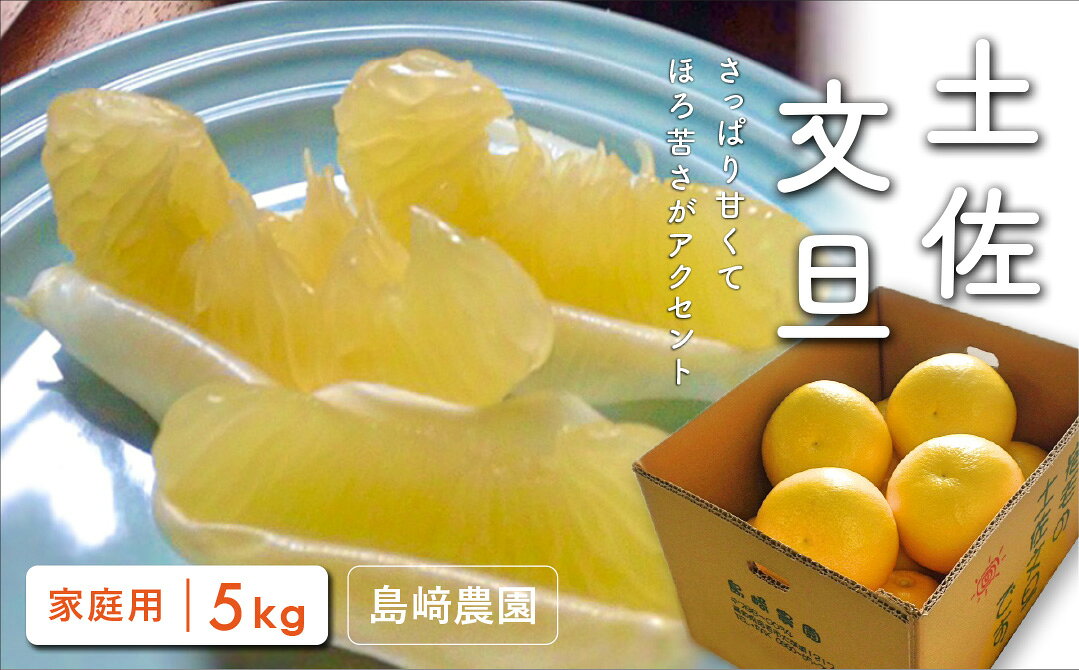 【ふるさと納税】 島崎農園 土佐文旦 5kg 家庭用 ぶんたん ブンタン 柑橘 果物 フルーツ 高知県産 特産品 グレープフルーツ 柚子 みかん 返礼品 産地直送 ギフト 贈り物 お歳暮 お中元 農家直送 旬 季節限定 南国フルーツ 宿毛市 高知県 10000円