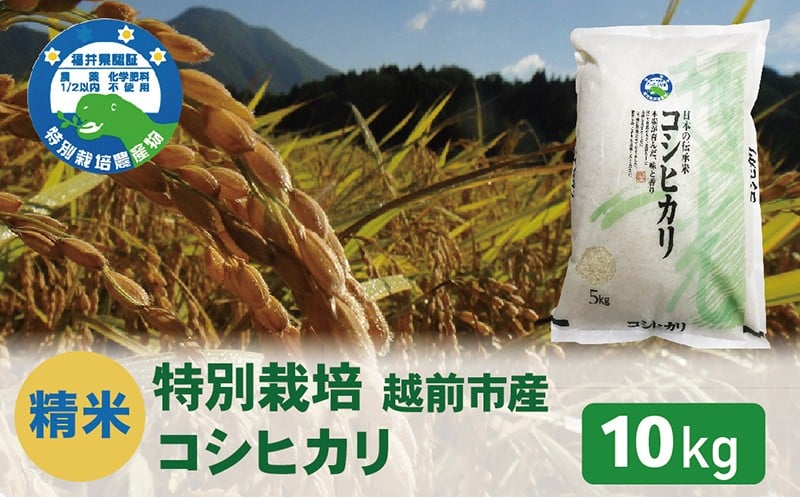 
            先行予約【令和7年度 新米・精米】特別栽培 越前市産コシヒカリ 10kg
          