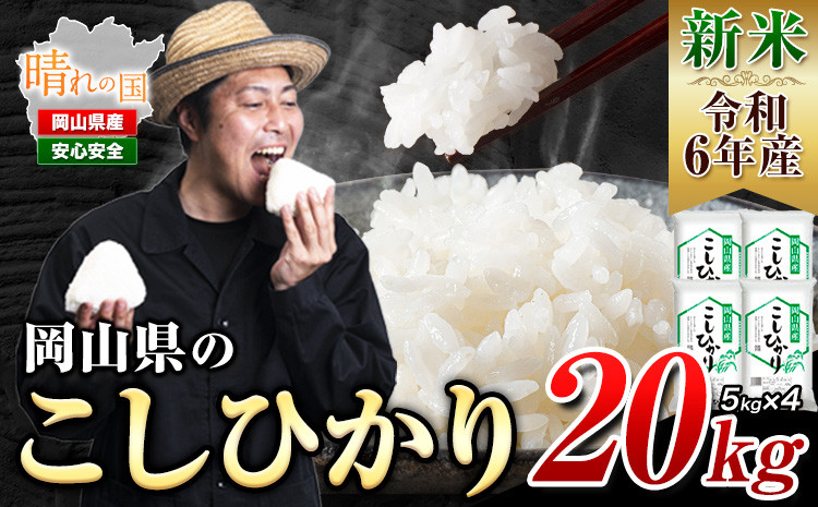 
新米 令和6年産 こしひかり 白米 20kg《30日以内に出荷予定(土日祝除く)》岡山県 浅口市 精米 米 送料無料
