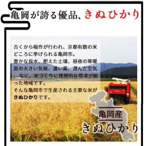 【無洗米】丹波産キヌヒカリ 10kg 真空パック 無洗