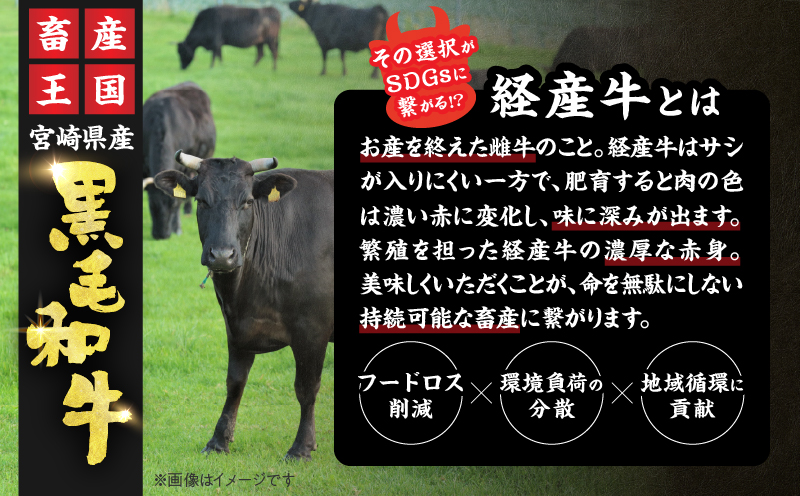 黒毛和牛 ロースステーキ 計800g 肉 牛 牛肉 和牛 国産 ステーキ肉 ビーフ 食品 ディナー おかず 晩ご飯 食べ応え 赤身 焼肉 鉄板焼き BBQ バーベキュー おすすめ 小分け ギフト 贈り