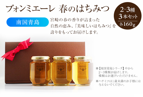【最速便】【数量・期間限定】宮崎産非加熱ハチミツ(南国青島シリーズ)2～3種 ブォンミエーレ春のハチミツ160g×3本セット 蜂蜜 国産 非加熱