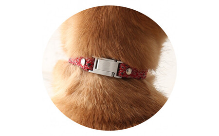 【Size29cm】ザオラル・リカバリーαバンド RD/SI｜横浜市 高機能バンド ペット用アクセサリー APY0015VC06